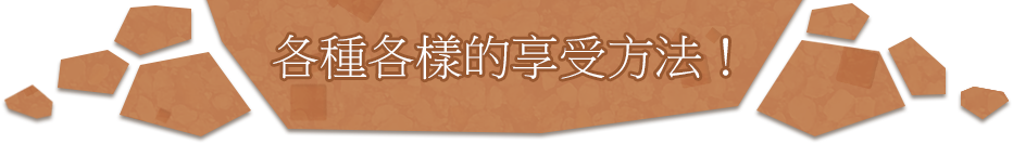 各種各樣的享受方法！