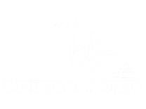 Dimfrost Studio_logo