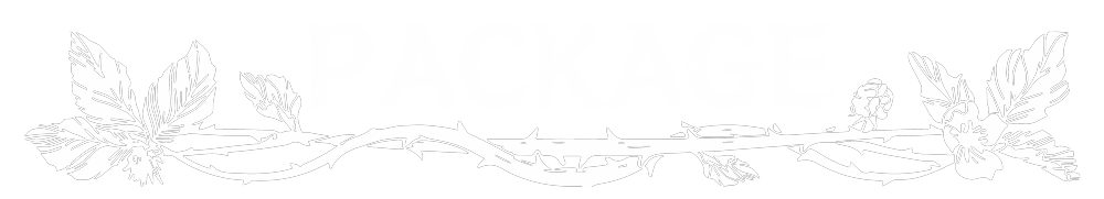 PACKAGE