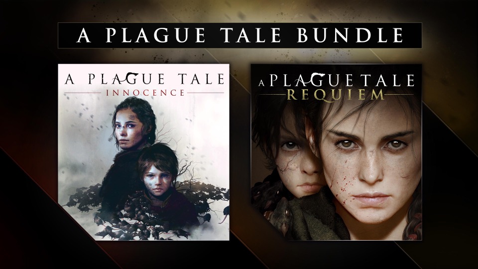 Z_bundle.jpg