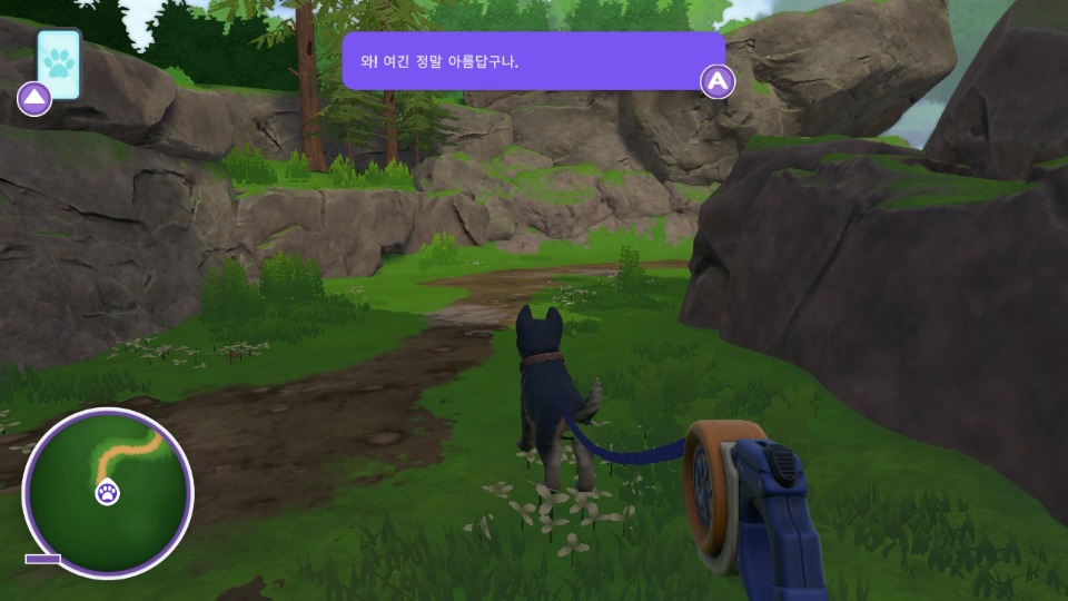 Z_04.jpg