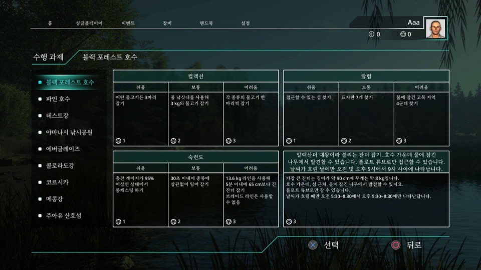 z_05.jpg