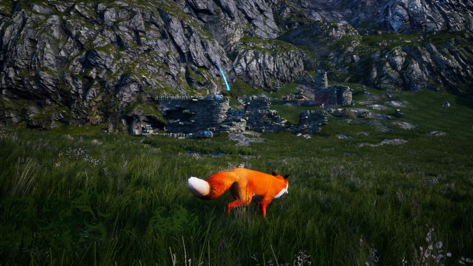 z_07.jpg