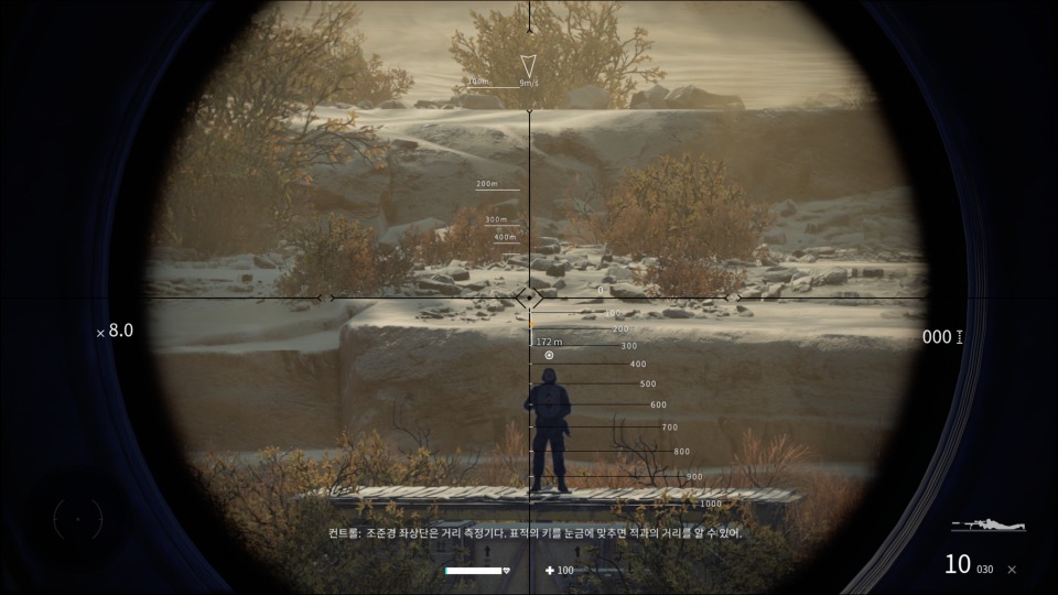 z_10.jpg